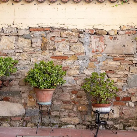 San Procolo Patio *
